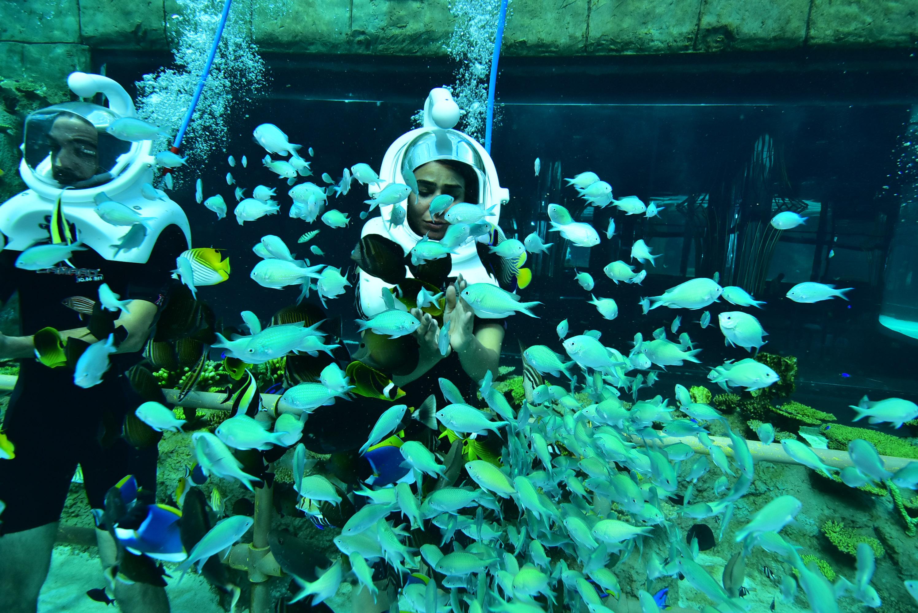 The Land Of Legends Kingdom - All-in Concept Hotel Belek